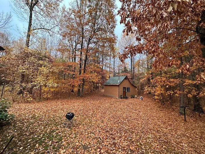 Yoga in the Woods Picture 1