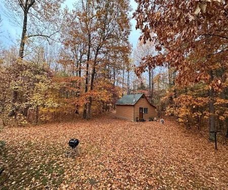 Yoga in the Woods