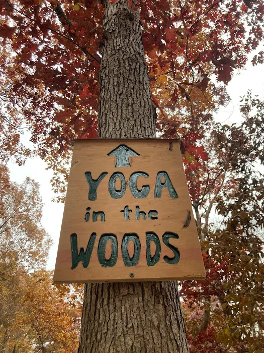 Yoga in the Woods Picture 3
