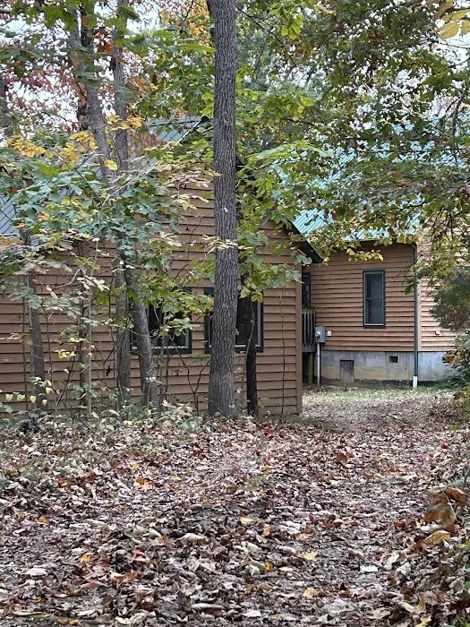 Yoga in the Woods Picture 5