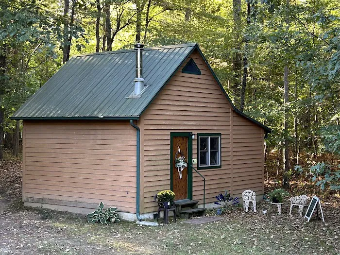 Yoga in the Woods Picture 8