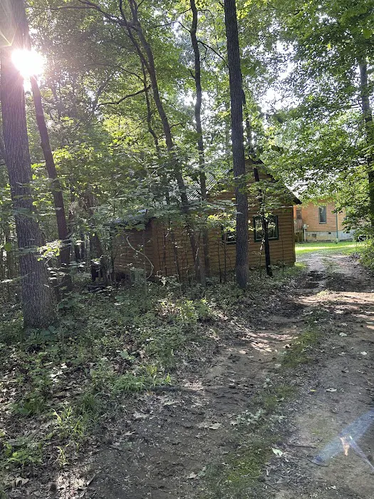 Yoga in the Woods Picture 10