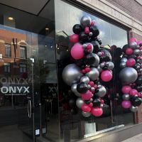 ONYX WICKER PARK ico
