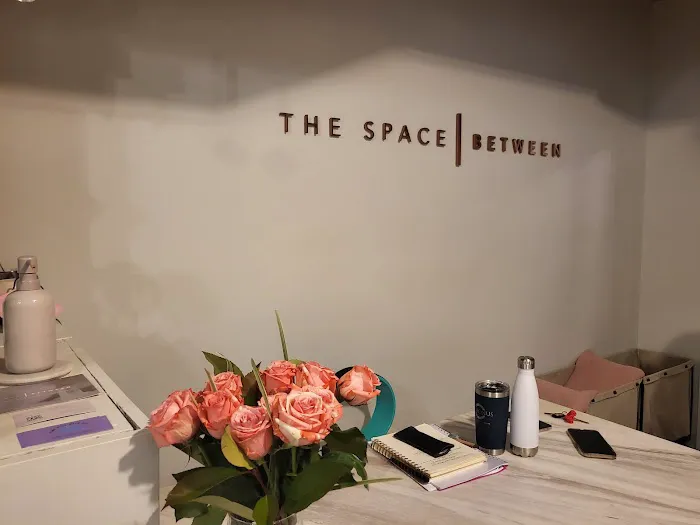 The Space Between Picture 4