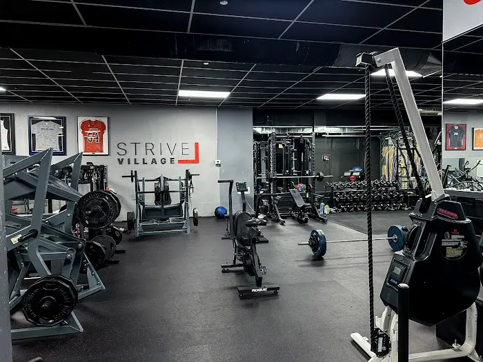 STRIVE VILLAGE Picture 5