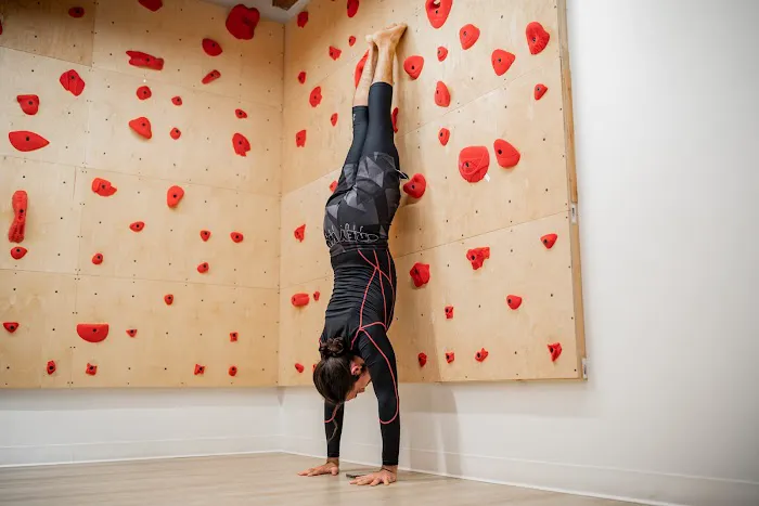 Chicago Movement Gym Picture 7