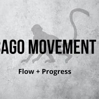 Chicago Movement Gym ico