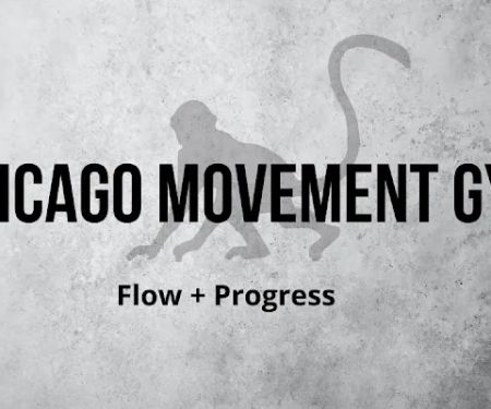 Chicago Movement Gym