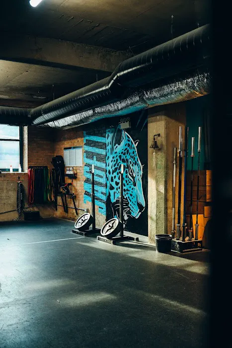 Jaguar Strength & Conditioning | Chicago Ave CrossFit Picture 7