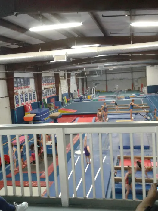 First State Gymnastics Inc Picture 3