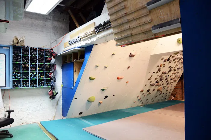 Lakeshore Academy of Gymnastics Picture 4