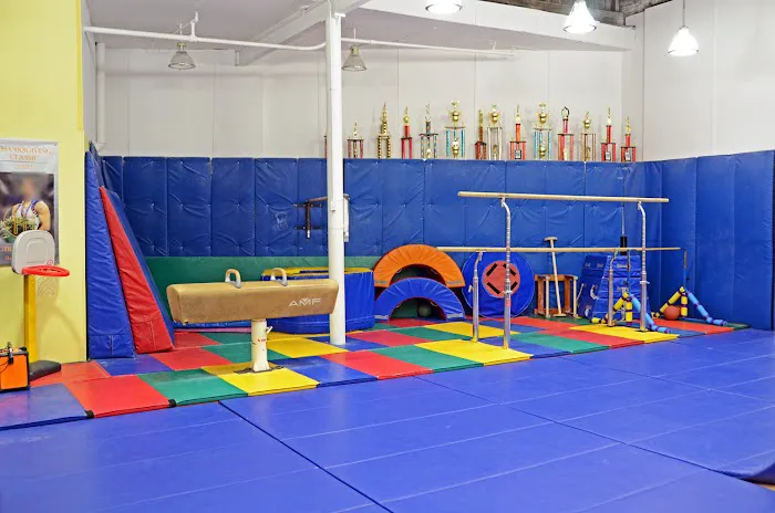 Lakeshore Academy of Gymnastics Picture 3