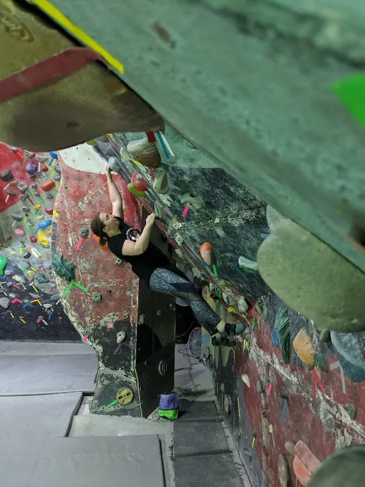 Lakeshore Academy of Gymnastics Picture 10