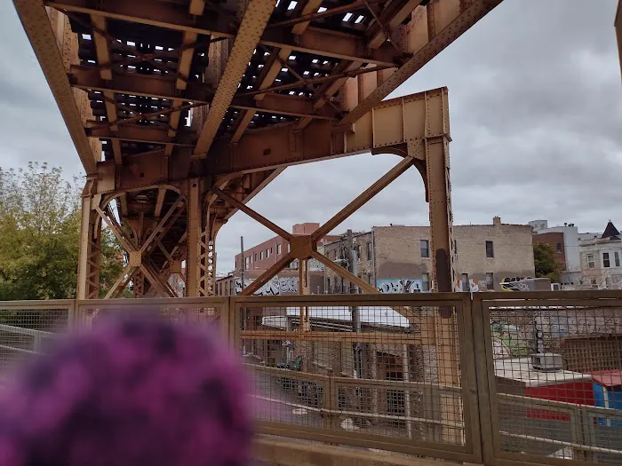 CHI50 Megaformer Chicago Picture 10