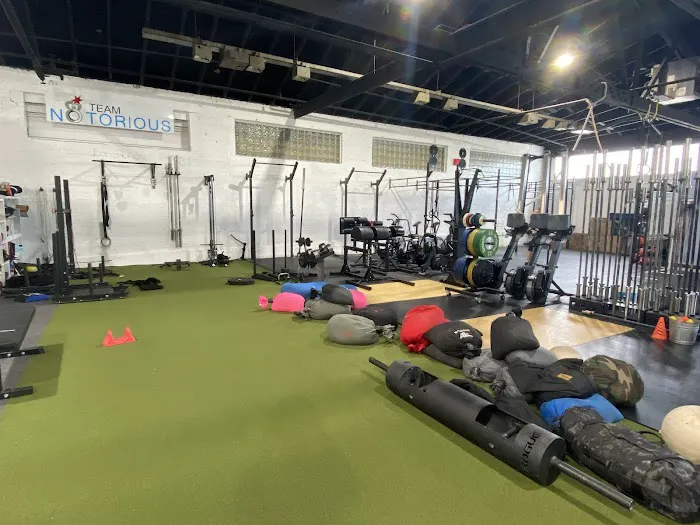 Notorious Fitness Picture 5