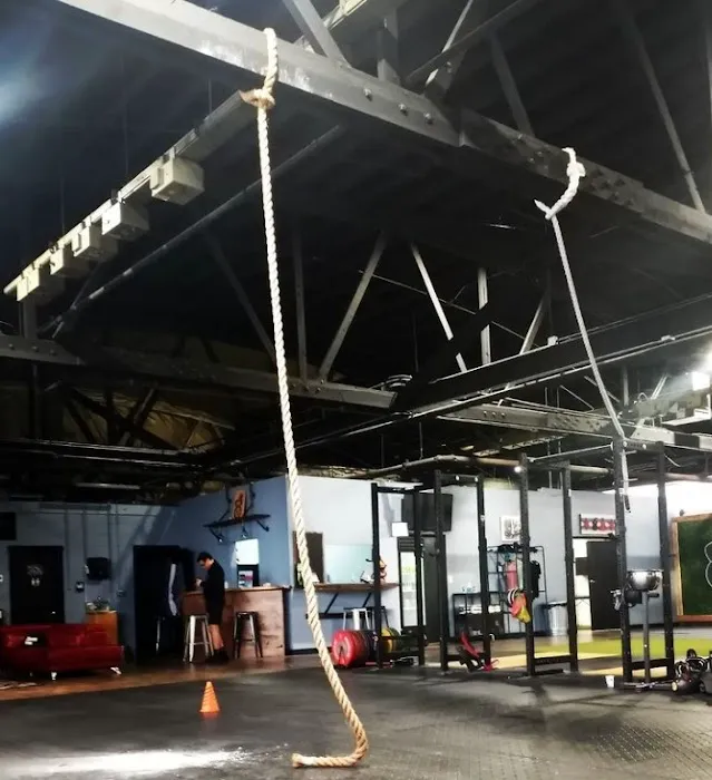 Notorious Fitness Picture 1