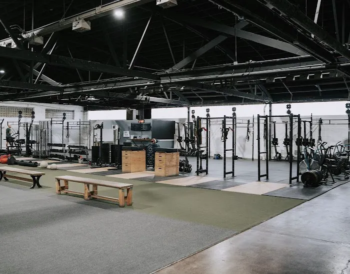 Notorious Fitness Picture 3