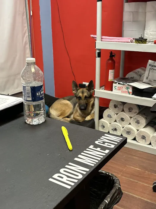 Iron Mine Gym Picture 10