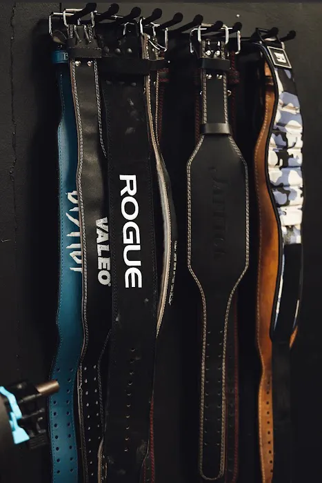 THINK FIT CLUB Picture 6