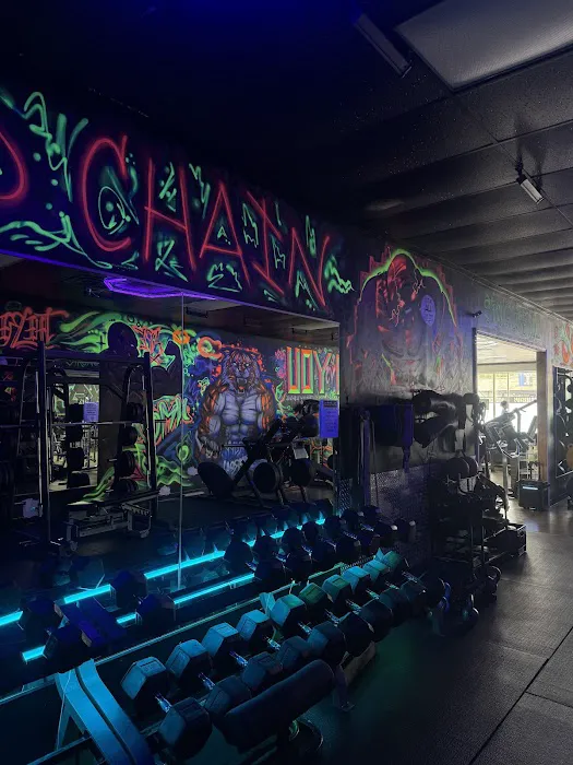 THINK FIT CLUB Picture 7