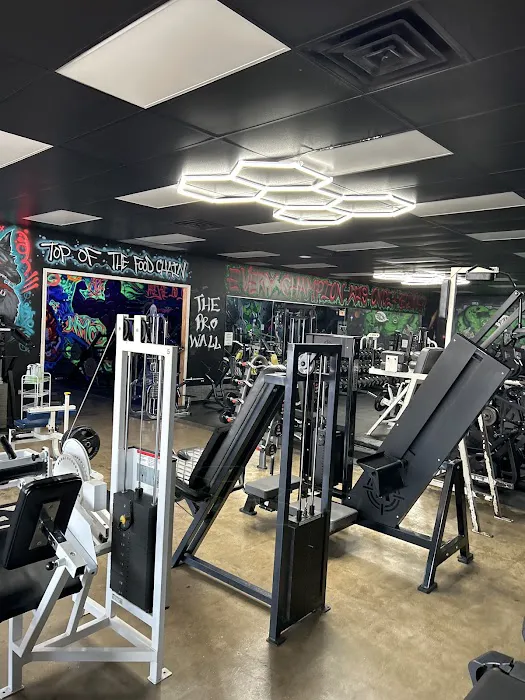 THINK FIT CLUB Picture 8