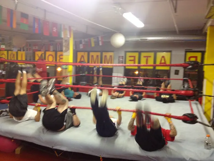 Chicago Fight House / Independence Park Picture 7