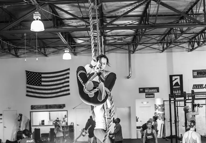 CrossFit Bear Picture 8