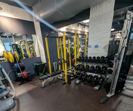 TITLE Boxing Club Elmhurst