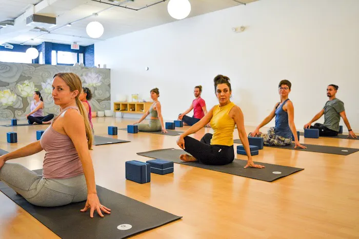 Ahimsa Yoga Studio Elmhurst Picture 8