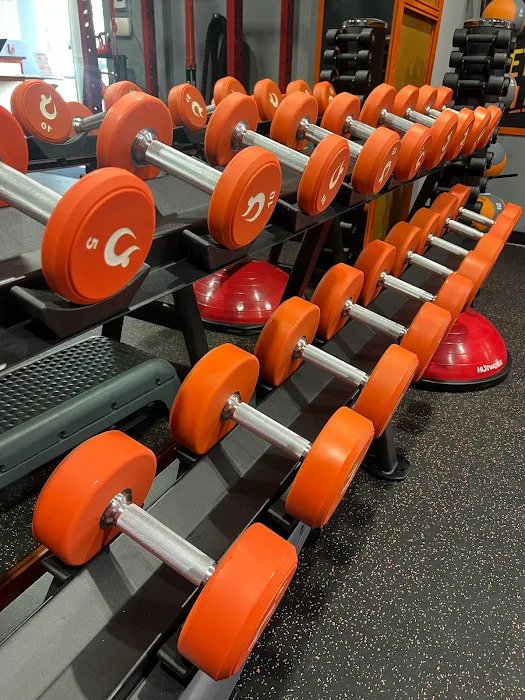 HOTWORX Elmhurst Picture 8