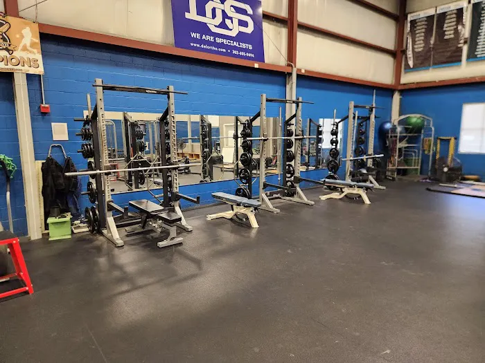 True Sports Physical Therapy Newark Picture 9
