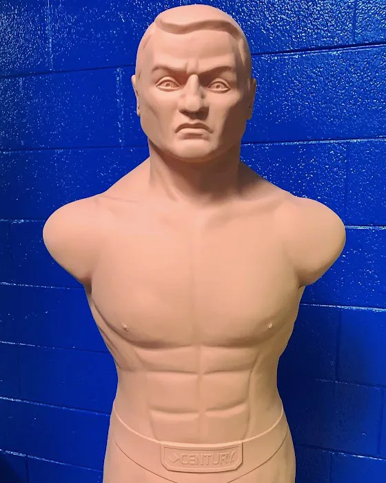 Villa Park Boxing Club Picture 3