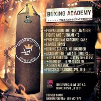 Champions Factory Boxing Gym ico