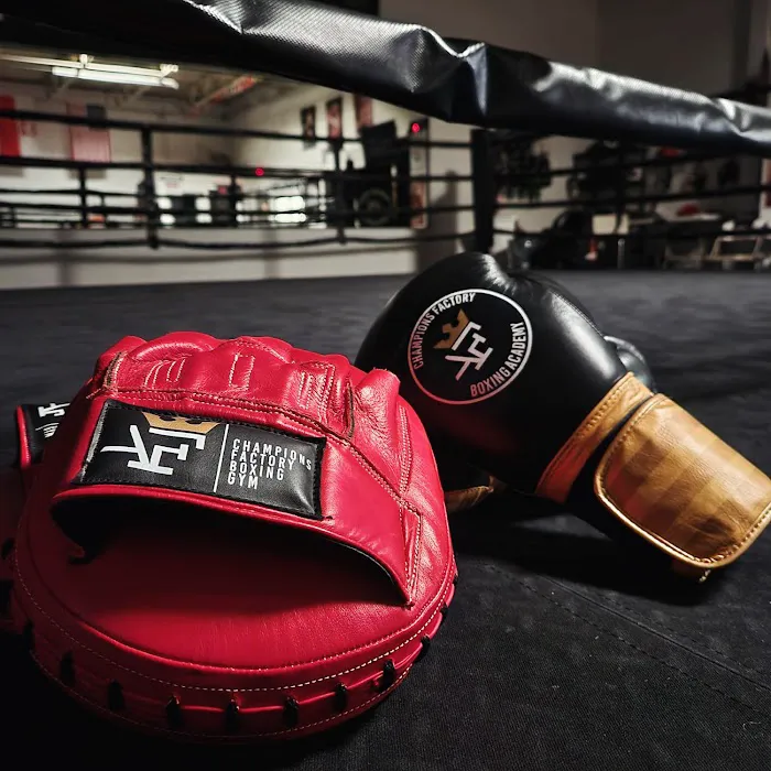Champions Factory Boxing Gym Picture 4