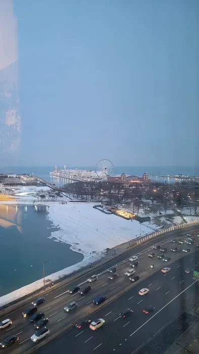 Fit at the W Chicago - Lakeshore Picture 4