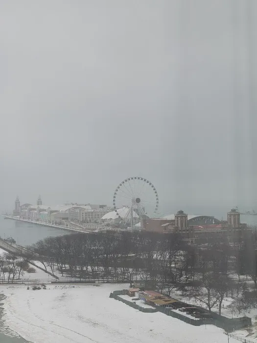 Fit at the W Chicago - Lakeshore Picture 5