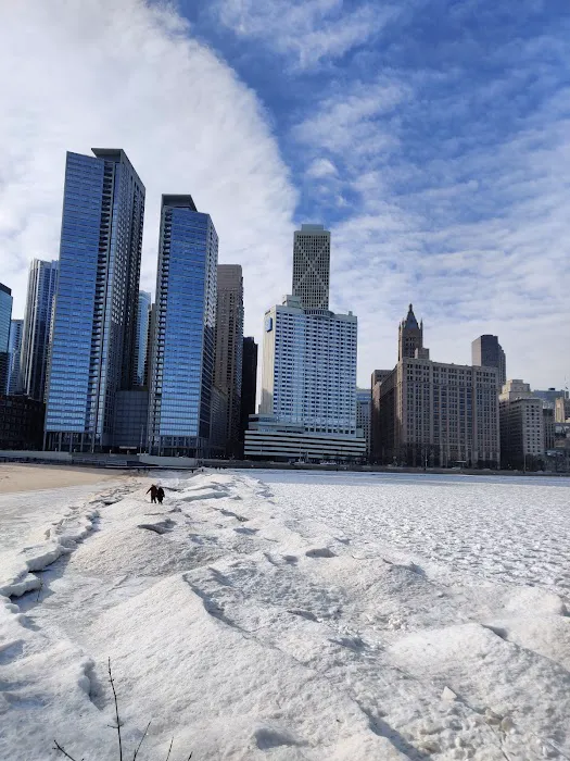 Fit at the W Chicago - Lakeshore Picture 10