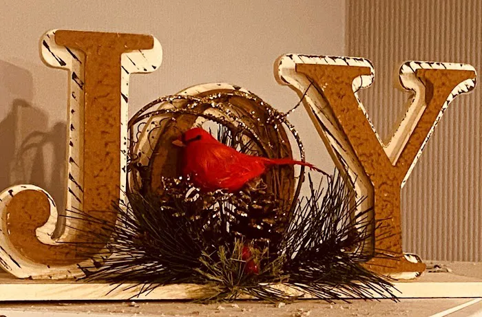 Embody Movement Pilates Studio, Inc. Picture 7