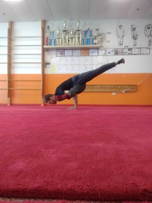 Funky Warrior Yoga Picture 2