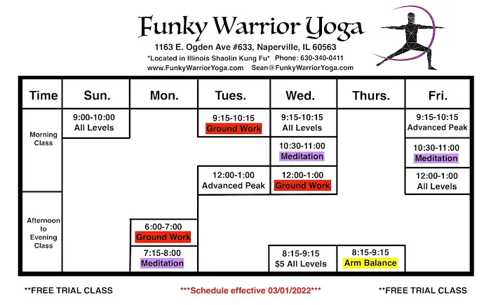Funky Warrior Yoga Picture 4