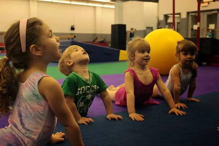 Dynamite Gymnastics Center Picture 9