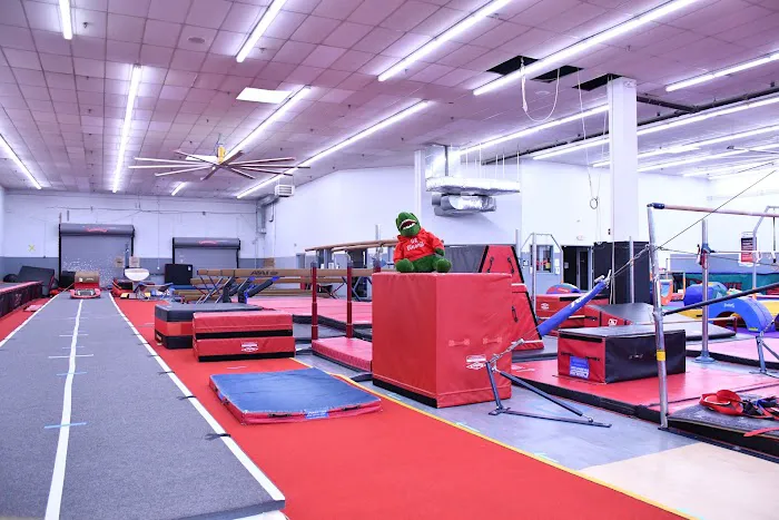 Dynamite Gymnastics Center Picture 6