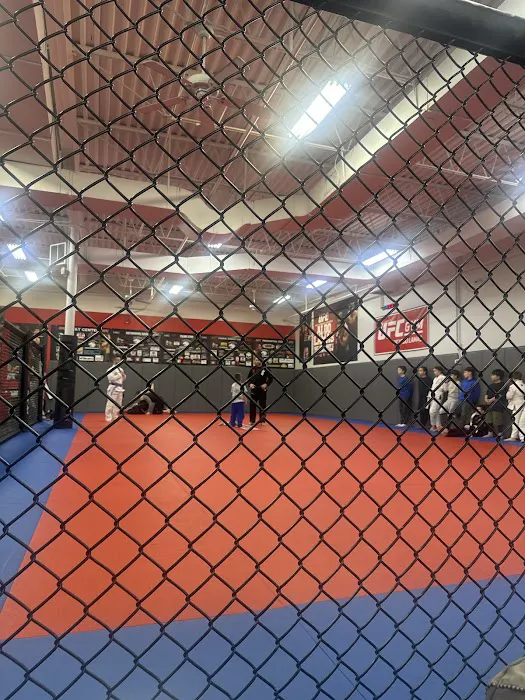 UFC GYM Naperville Picture 2