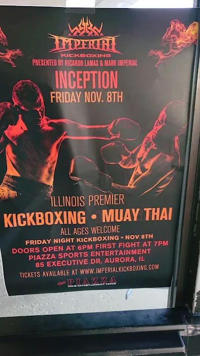 UFC GYM Naperville Picture 8