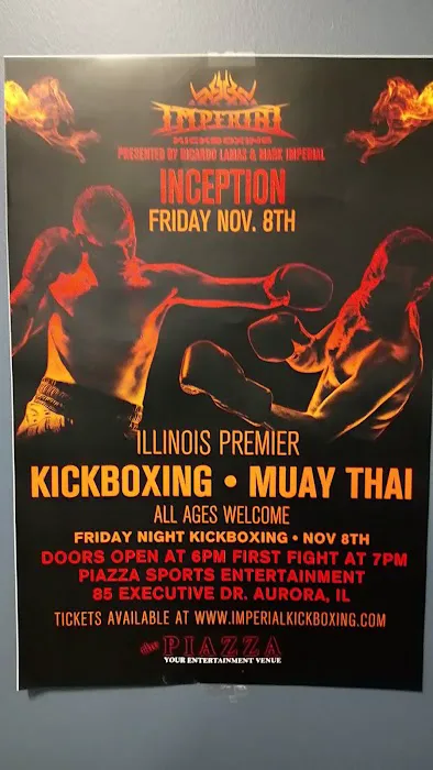 UFC GYM Naperville Picture 5