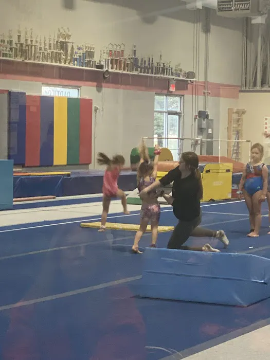 Premier Gymnastics Academy West Picture 3