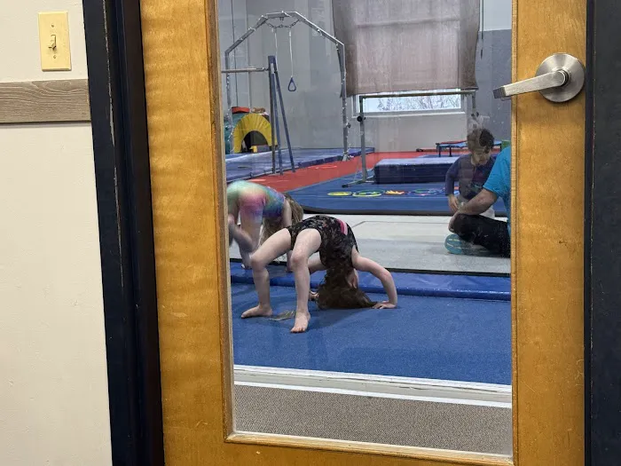 Premier Gymnastics Academy West Picture 5