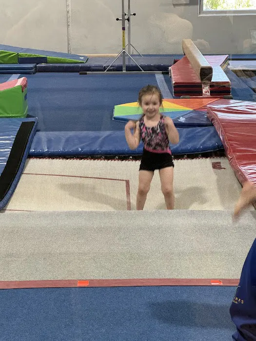 Premier Gymnastics Academy West Picture 4