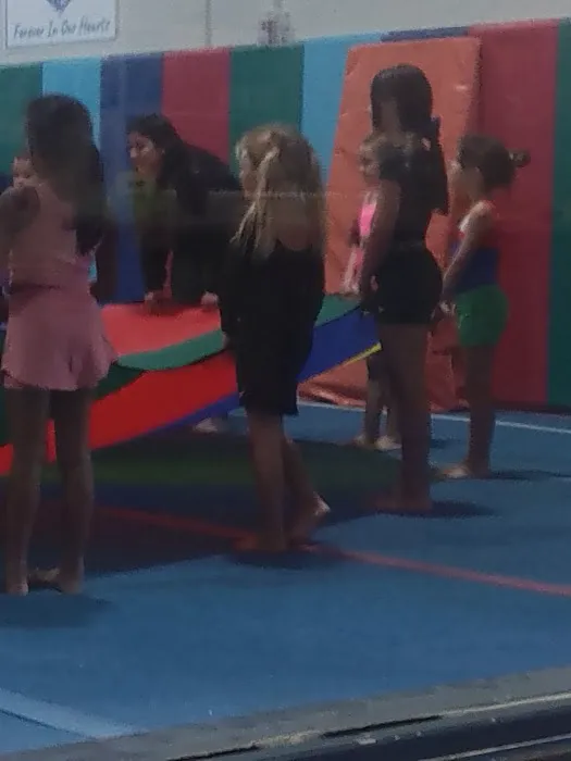 Premier Gymnastics Academy West Picture 10