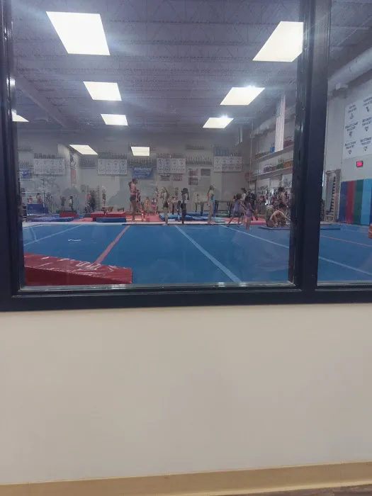 Premier Gymnastics Academy West Picture 9